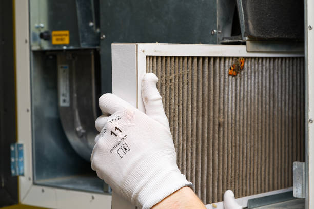 Best Ductwork Cleaning Services  in Freeport, FL