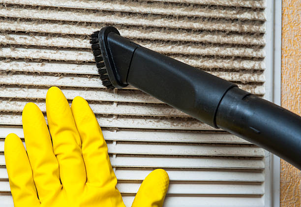Best Home Air Vent Cleaning  in Freeport, FL